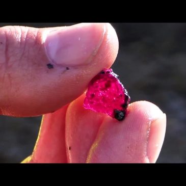 Greenland Ruby Bankrupt 2024