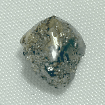 Crater of Diamonds Park fresh find