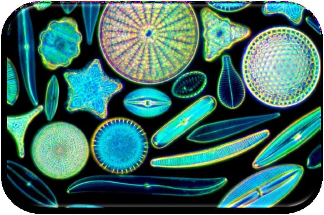 how seam opal is made in its natural environment and how to detect for opals through the research that we have done on this matter
